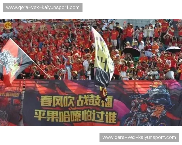 激情重燃：波兰vs葡萄牙，一场足球盛宴的回顾与前瞻